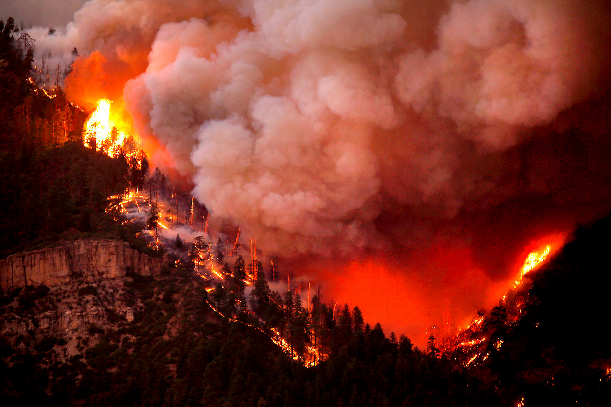 Природные катаклизмы пожары